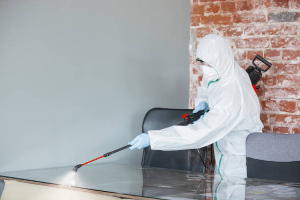 Best Commercial Mold Inspection in USA